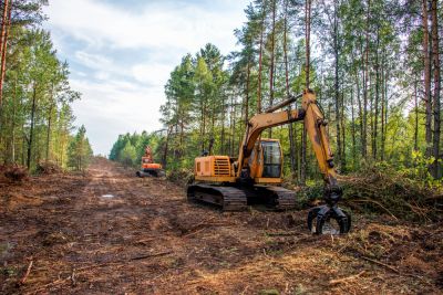 Excavation for Land Clearing